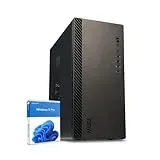 dcl24 Gamer PC Ryzen 5 9600X, RX9070 16GB - 1000GB SSD, 32GB DDR5, Zocker mit 6x5.3 GHz, Tower mit WLAN, Gaming mit Windows 11 Pro [20253]
