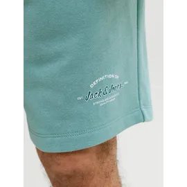 JACK & JONES JPSTGORDON Jogger Pants Blau M