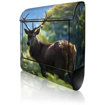 banjado Hirsch Wandbriefkasten schwarz inkl. Zeitungsfach