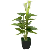 Europalms Calla mini, weiß, 43cm
