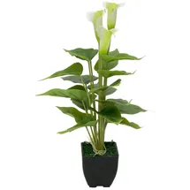 Europalms Calla mini, weiß, 43cm