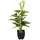 Europalms Calla mini, weiß, 43cm
