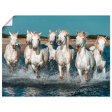 Artland Wandbild »Camargue Pferde galoppieren am Strand«, Haustiere, (1 St.), als Alubild Outdoorbild Leinwandbild, Poster, Wandaufkleber weiß