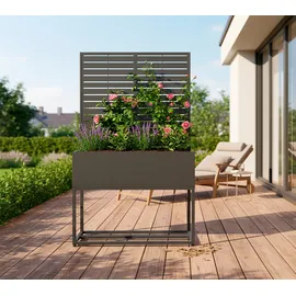 Westmann Dekora 4 Pflanzkasten mit Rankgitter 90 x 42,5 cm Anthrazit