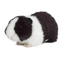 Living Nature Meerschweinchen schwarz 18cm ohne Sound Plüschtier Kuscheltier Meerschwein Kinder