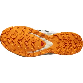 Salomon XA Pro 3D V9 GTX Herren Black/Vanilla Ice/Turmeric 44 2/3