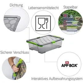 Rotho Aufbewahrungsbox 59,0 x 39,5 x 18,5 cm 3-tlg. grau/transparent