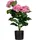 Paperflow meet powered by PAPERFLOW HORTENSIE Kunstpflanze 55,0 cm