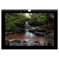 Calvendo Odenwald - Landschaft sehen (Wandkalender 2026 DIN A4