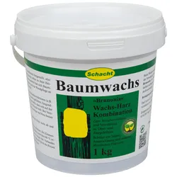 Schacht Baumwachs Brunonia