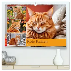 Rote Katzen (hochwertiger Premium Wandkalender 2025 DIN A2 quer), Kunstdruck in Hochglanz