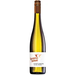 18er Set Lorenz & Söhne Punktlandung Riesling trocken 2023 - Versandkostenfrei!
