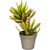 Creativ green Künstliche Zimmerpflanze »Deko-Sukkulente Aloe plicatilis«, grün