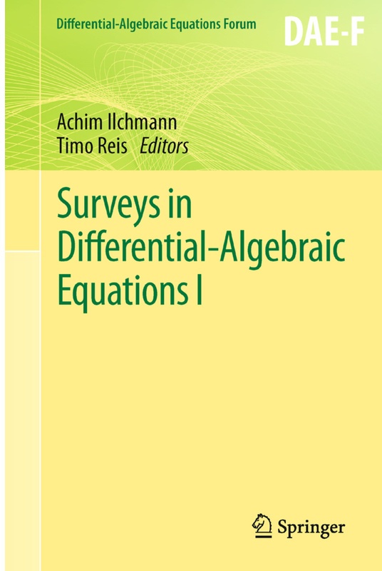 Differential-Algebraic Equations Forum / Surveys In Differential-Algebraic Equations I  Kartoniert (TB)