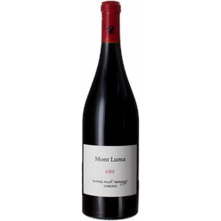 Touraine Amboise Rouge - Mont Luma 2019 - Bonnigal Bodet
