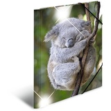 Herma Sammelmappe Tiere A3 koala