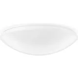 RZB LED-Wand-u. Deckenleuchte, 312092.002.1