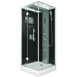 AcquaVapore Dampfdusche Dusche D38-23L2 100x100 cm ohne 2K Scheiben Versiegelung