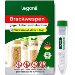 Brackwespen gegen Lebensmittelmotten auf Gewerbeflächen