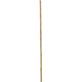 Europalms Bambusrohr, Ø=3cm, 200cm