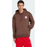 Adidas Graphic Hoodie Auburn L