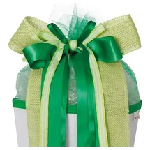 ROTH Schultütenschleife Fresh Green, grünnaturfarben 4028279003313 Roth