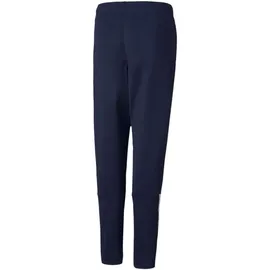 Puma Teamliga Training Pants Jr Peacoat-puma white 164