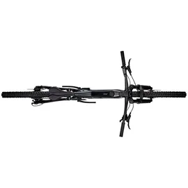 Focus Thron2 6.6 2025 29 Zoll RH 45 cm schwarz