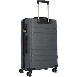 cocoono Leon Koffer-Set 3-tlg. grau
