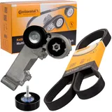 Continental Ctam Keilrippenriemensatz