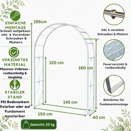 DanDiBo Ambiente Rosenbogen 150 cm Grau/Silber