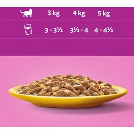 Whiskas Adult Geflügel in Gelee 80 x 85 g