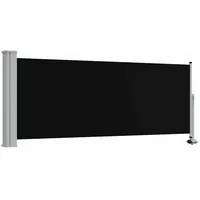 vidaXL Seitenmarkise 100 x 300 cm Schwarz Eisen