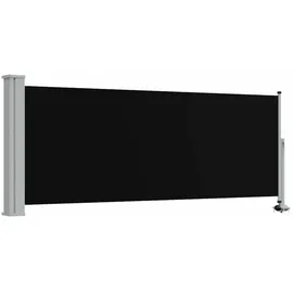 vidaXL Seitenmarkise 100 x 300 cm Schwarz Eisen