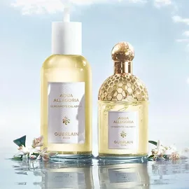 Guerlain Aqua Allegoria Bergamote Calabria Eau de Toilette 125 ml