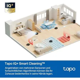 TP-Link Tapo RV30 Max schwarz