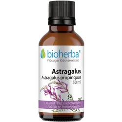 Astragalus 50 ml