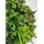 JANGAL Wandpaneel Modular Wall 2 St. 52 x 52 x 4 cm