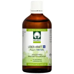 Leber-Kraft 4