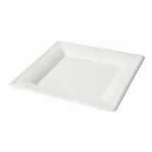 Greenbox Teller aus Zuckerrohr quadratisch 26 cm 50 St. Weiß