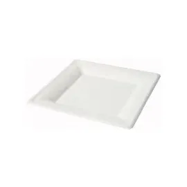 Greenbox Teller aus Zuckerrohr quadratisch 26 cm 50 St. Weiß