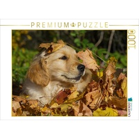 Calvendo Golden Retriever Puzzle