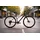 Cube Nulane Pro 2026 28 Zoll RH 50 cm Damen grey 'n' chrome