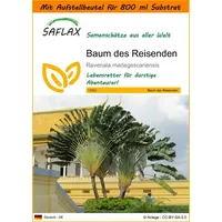 SAFLAX - Garden in the Bag - Baum des