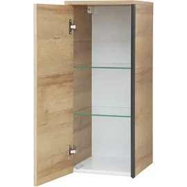 Saphir 30 cm beige