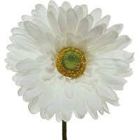 Decoris Gerbera Variante: Weiß
