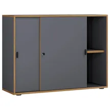 VCM Salia Aktenschrank 100 x 37,4 x 74 cm anthrazit