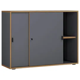 VCM Salia Aktenschrank 100 x 37,4 x 74 cm anthrazit