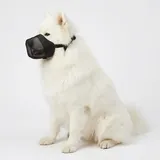 Nature Pet Giftköderschutz Hund/Leckschutz bei Wunden und OP/anstatt Plastik Kragen oder Halskrause/Schutznetz Lange Ausführung (M)