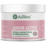 AniForte Junior Active Pulver 250 g